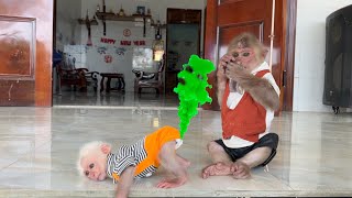 Smart! Monkey SinSin cleverly helps baby monkey ZiZi ask for help from Dad when his diaper is full