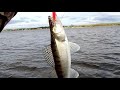 рыбалка в дельте Северной Двины