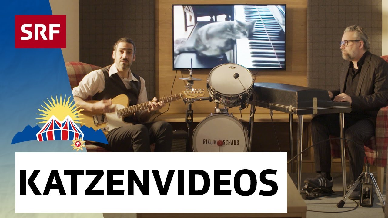 Riklin & Schaub: Der Katzenvideo Song | Arosa Humorfestival 2020 | 12/12 | Comedy | SRF