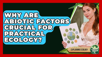 Why Are Abiotic Factors Crucial For Practical Ecology? - Explaining Ecology