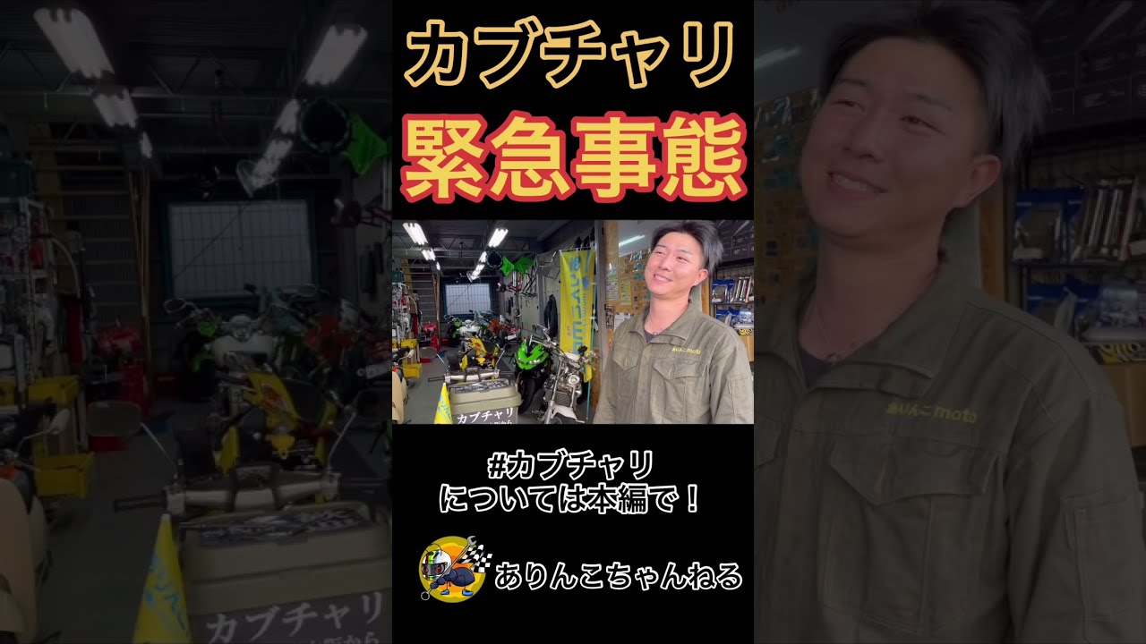 arincco channel - YouTube