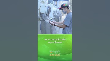 Tin vui cho xuất khẩu gạo Việt Nam #shorts | NÔNG NGHIỆP SINH THÁI