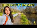 Relaxing Netherlands Walk | Explore this Breathtaking Dutch Schollebos Forest in 4K!