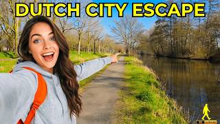 Relaxing Netherlands Walk | Explore this Breathtaking Dutch Schollebos Forest in 4K!