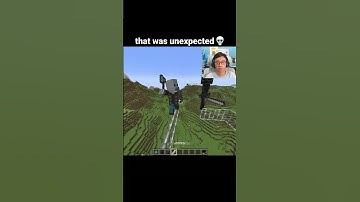 Minecraft Vindicator Moment