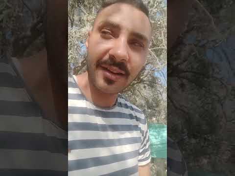 أطفال غزة    عائلة حمد