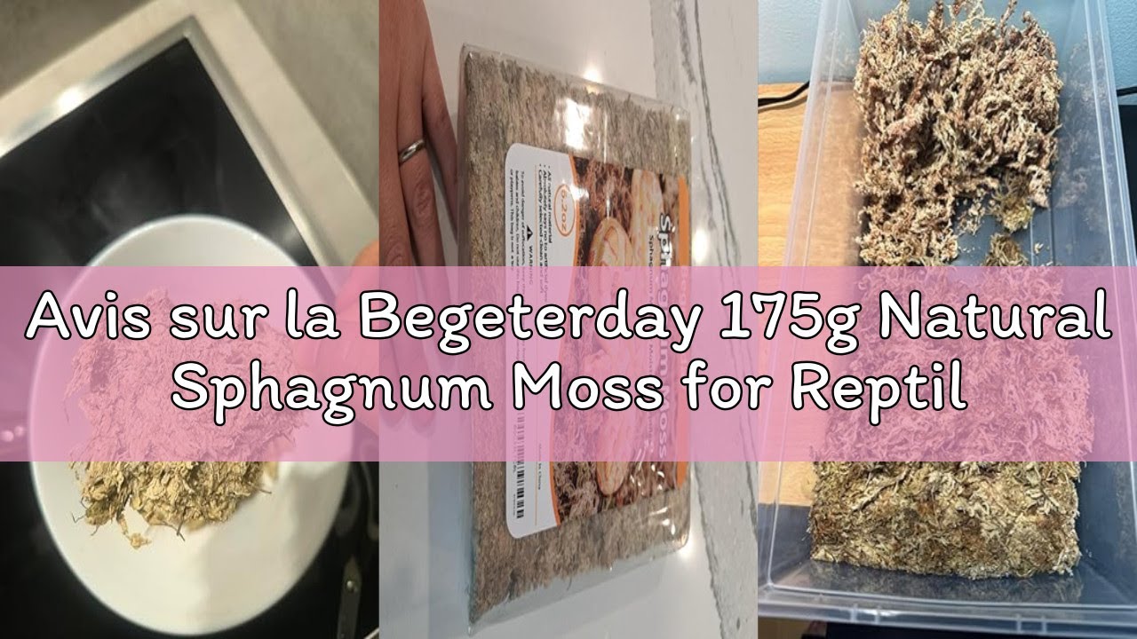 Avis sur la Begeterday 175g Natural Sphagnum Moss for Reptiles, Ideal Moisture Retention Medium for