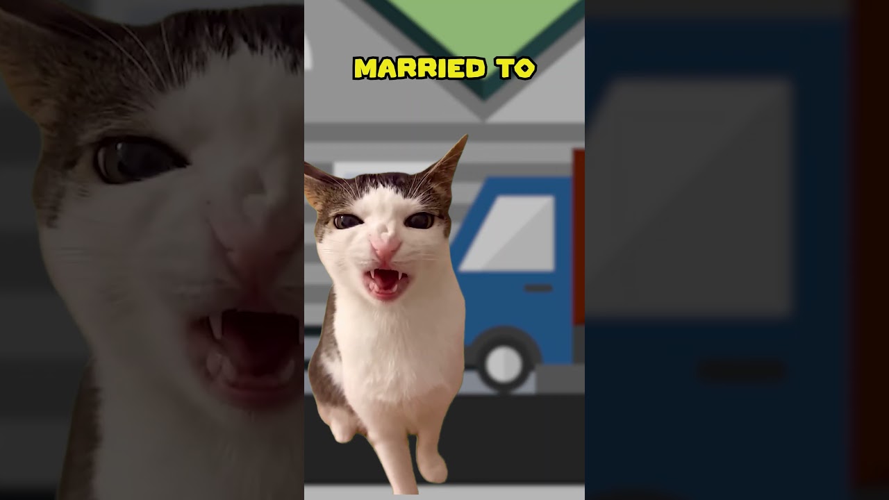 Профессор логики 😎 (КОШАЧЬЯ ВЕРСИЯ🐈) 