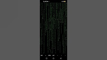 Hacker