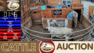 CATTLEMEN’S LIVESTOCK MARKET | Southeast Cattle Market Ignition Live | 5.26.26