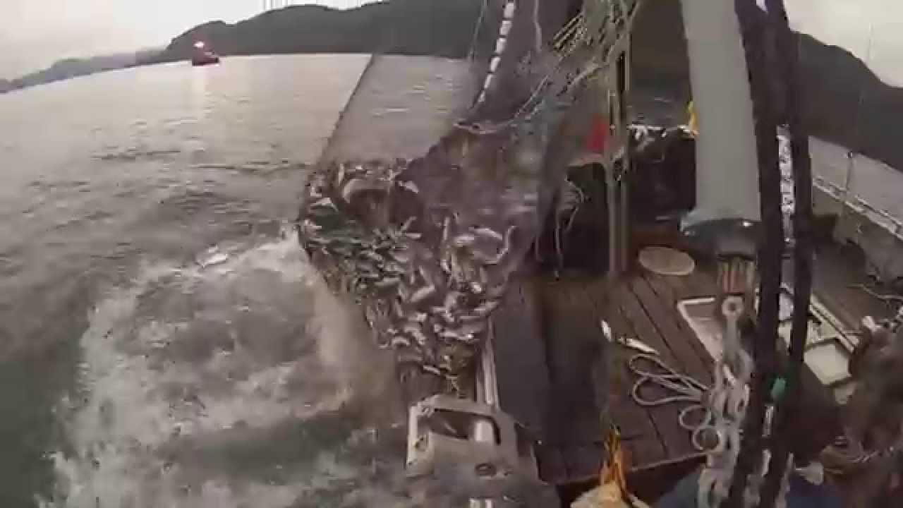 Get Some - F/V Sequel