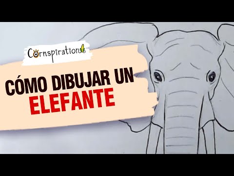 Video: Elefante creativo pinta obras de arte para la caridad