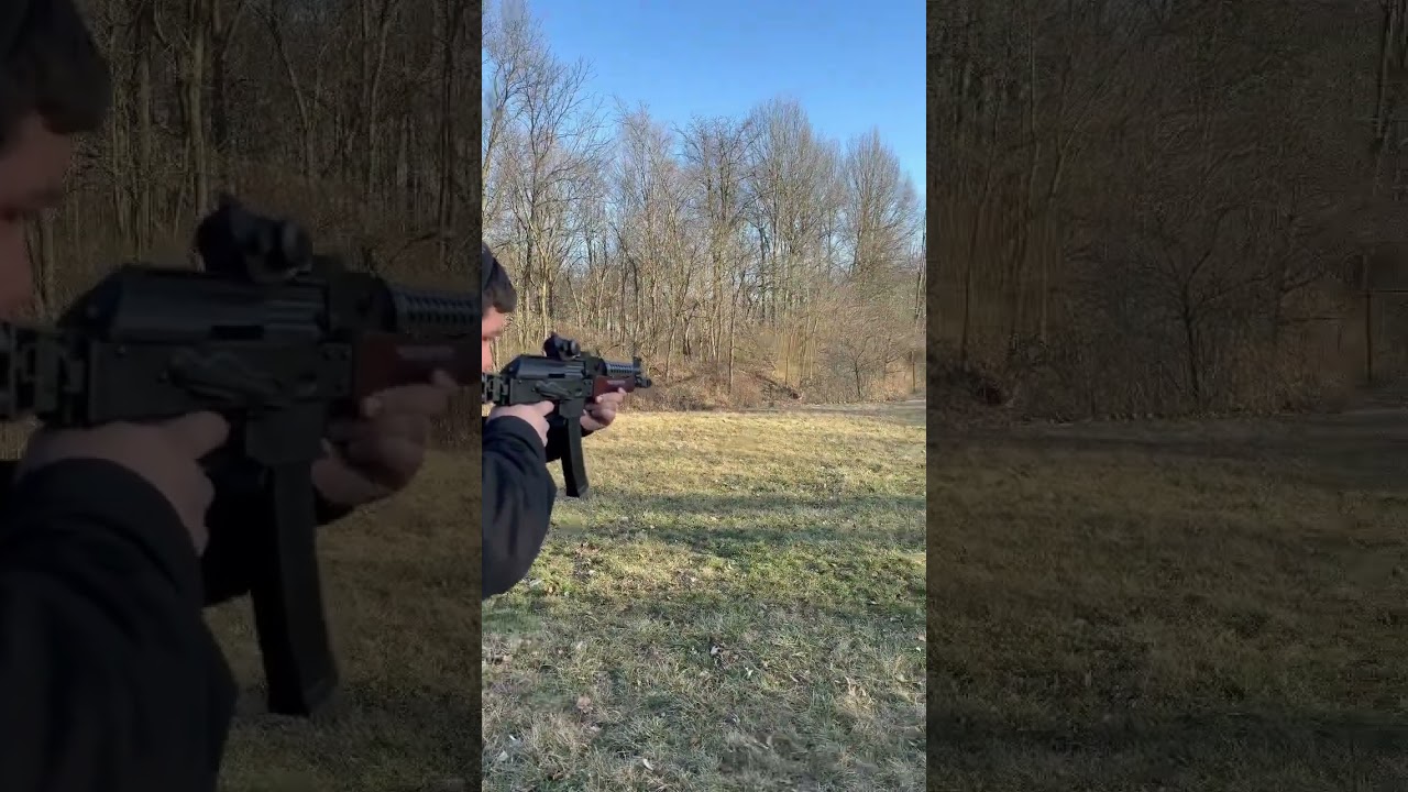 Palmetto AKV9 plinking the dueling tree