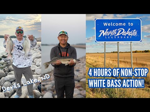 Devils Lake, North Dakota - MONSTER WALLEYE and 4 hours of Non-stop White  Bass action! 