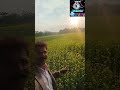 সৰিয়হৰ দলিছা খনে সচাঁকৈয়ে আপোন পাহৰা কৰে...❤️😍