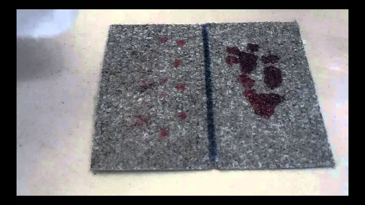 Reduce Carpet Cleaning With NanoSeal! YouTube