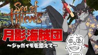 【シーオブシーブス】ギルドVitO始動！【月影紅狼】