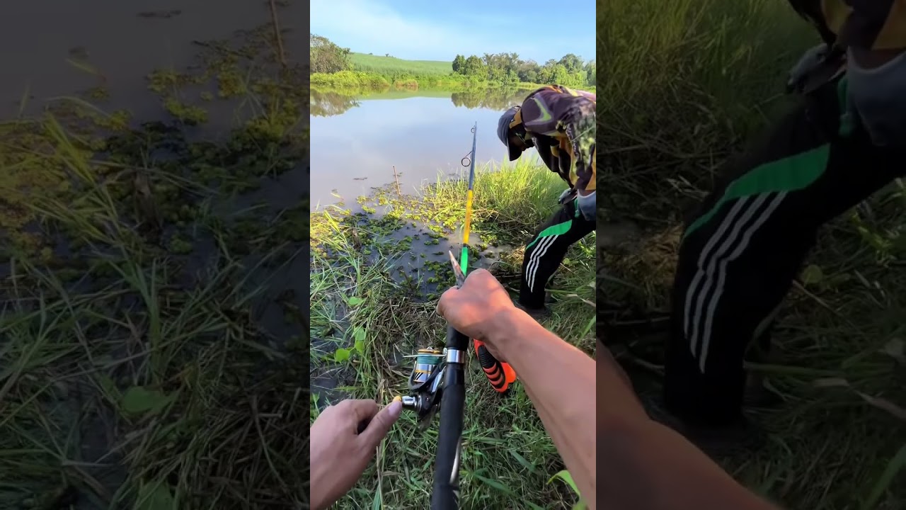 Pertarungan sengit melawan hewan purba