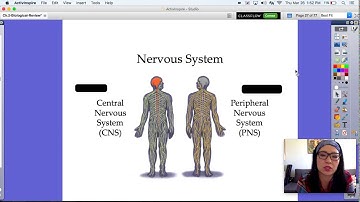 Neuroscience and Behavior Part 1
