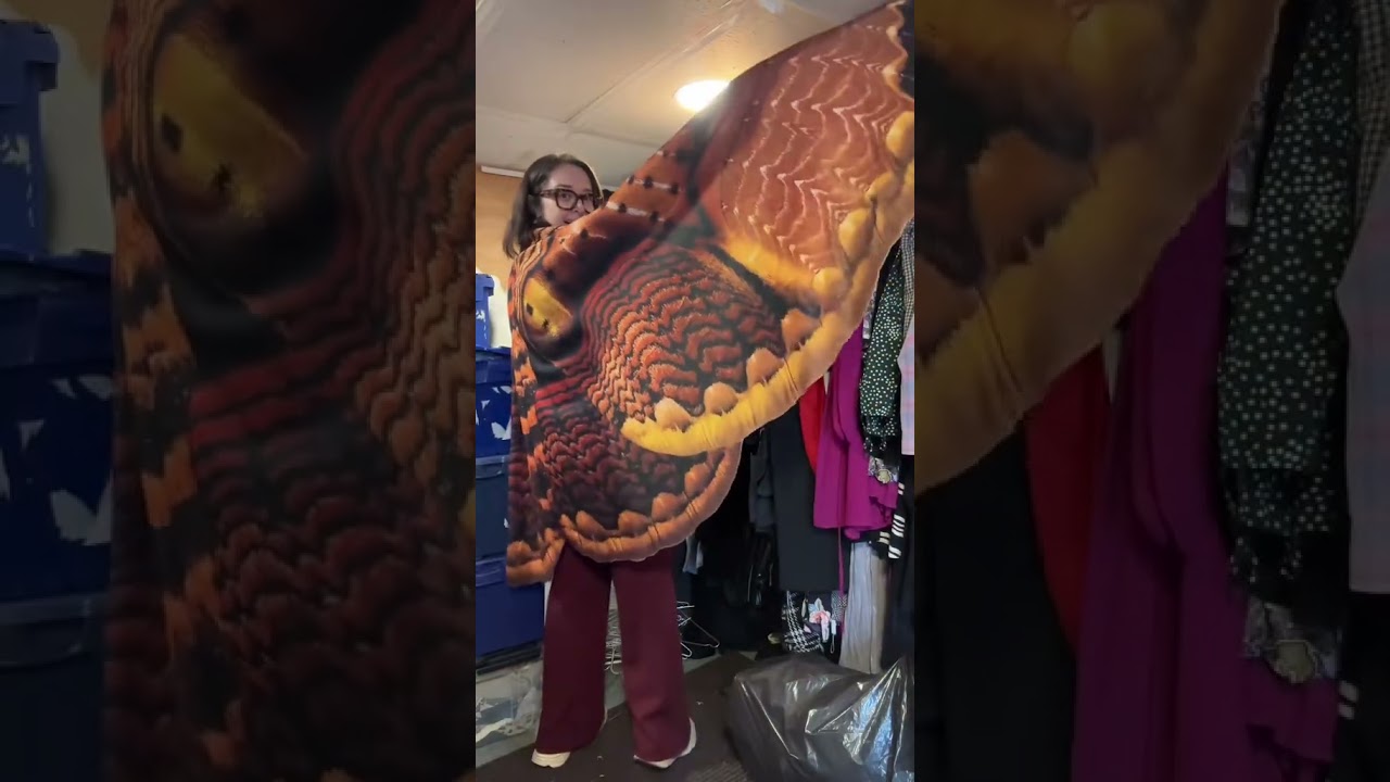 This posh London charity shop was hiding a secret out back 👀