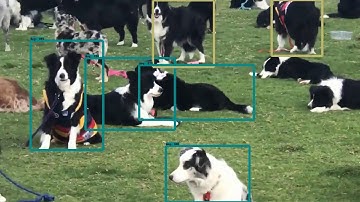 Tensorflow Object Detection API using ssd_mobilenet_v1_coco Model
