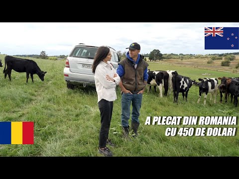 Video: Mâncare de încercat în Noua Zeelandă