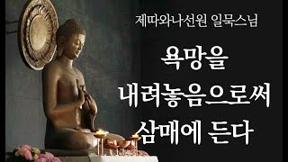 욕망을 내려놓음으로써 삼매에 든다ㅣ일묵스님ㅣ제따와나선원 2022.05.04.정기법회