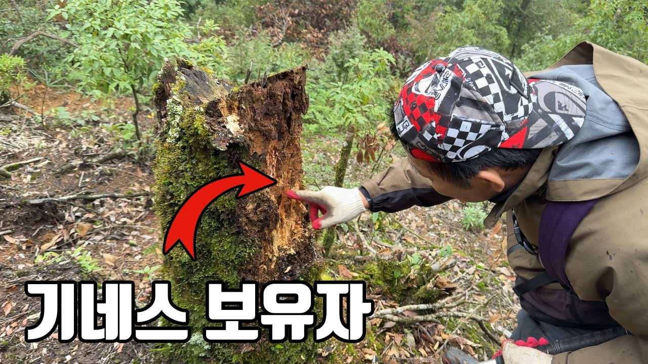 기네스 기록을 가지고 있는 일본인 채집가와 정글탐사를 했더니...