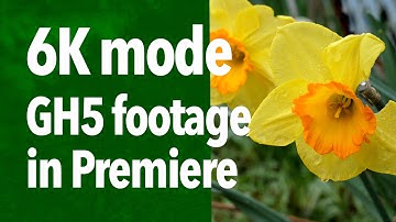 Using 6k footage GH5 Premiere Pro with Edit Ready 2.0