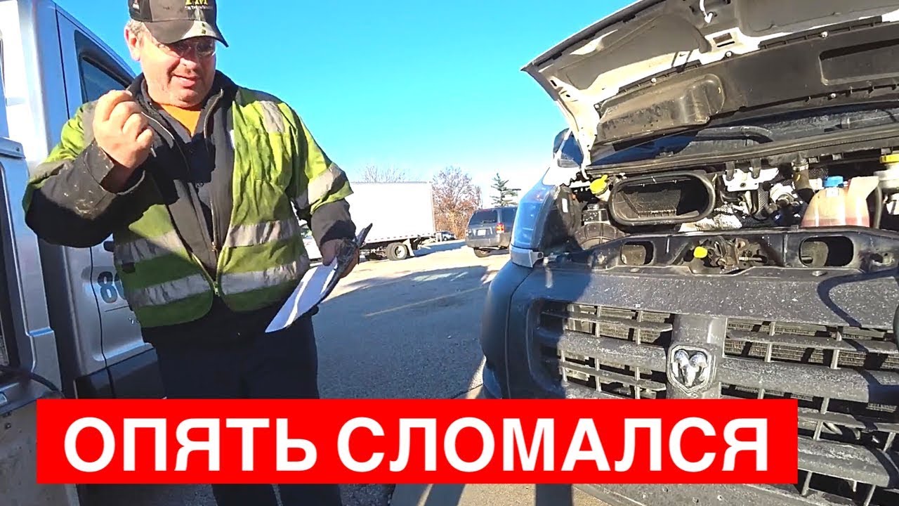 Машина сбивает собаку