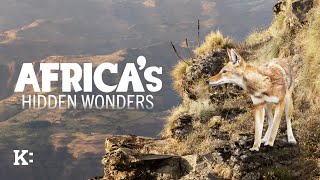 Africas Hidden Wonders - Trailer Knowledge Network