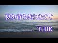 夏を待ちきれなくて  /  TUBE (歌詞入り)