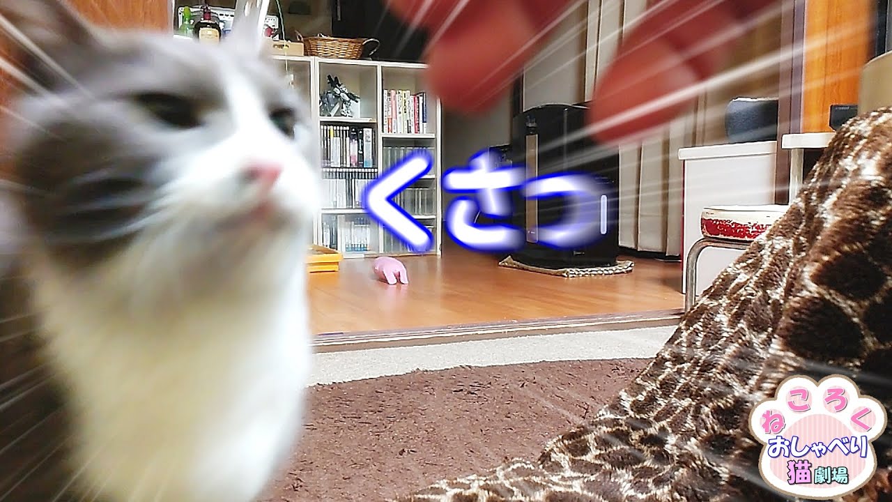 猫を呼んでみたら】ちゃんと来てくれるけど警戒される飼い主【リメイク 