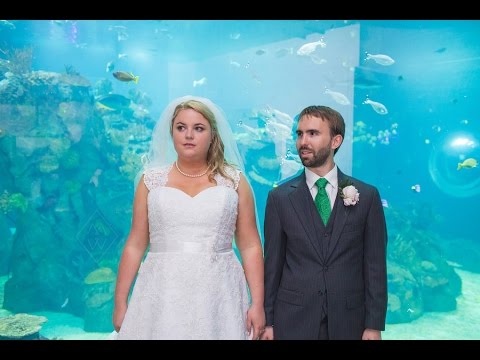 Maggie Tyler Toledo Zoo Wedding Photos You Maggie Tyler Toledo Zoo Wedding Photos
