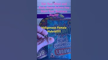 Ongodstudioproduction513Space Presents Get Your Mind Right!!!!!