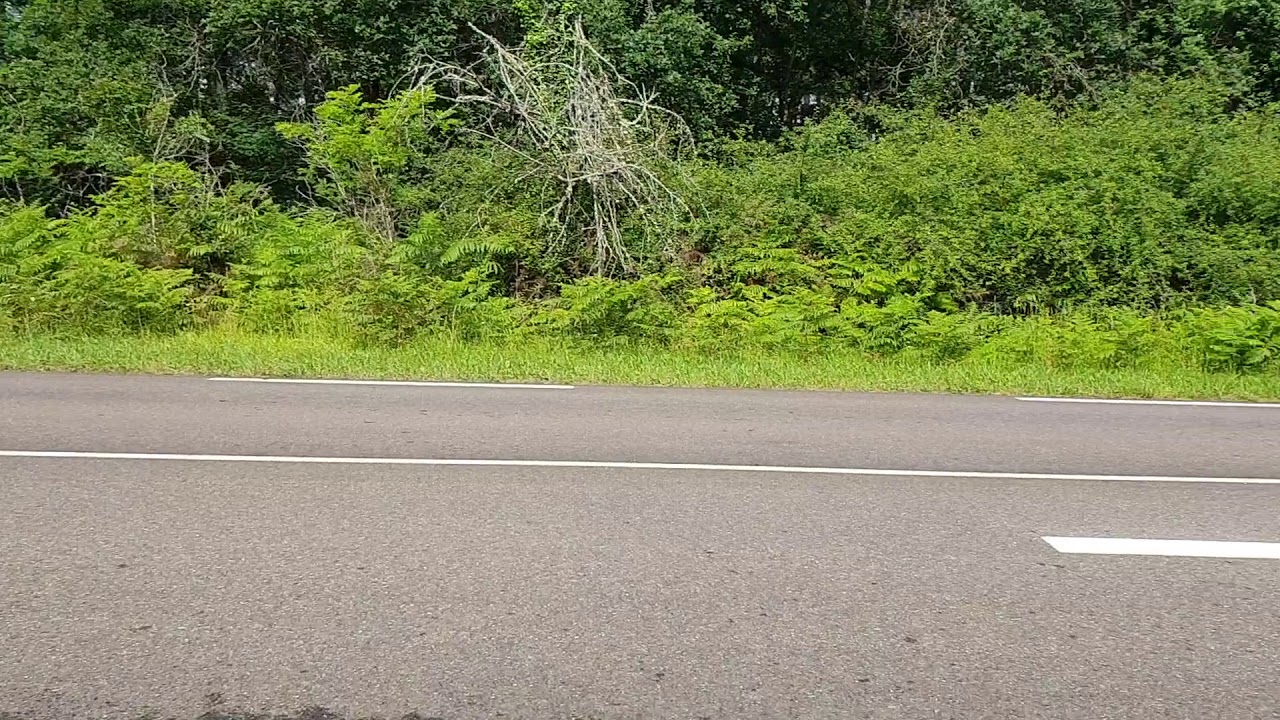 Spain rus hole YouTube Spain rus hole YouTube