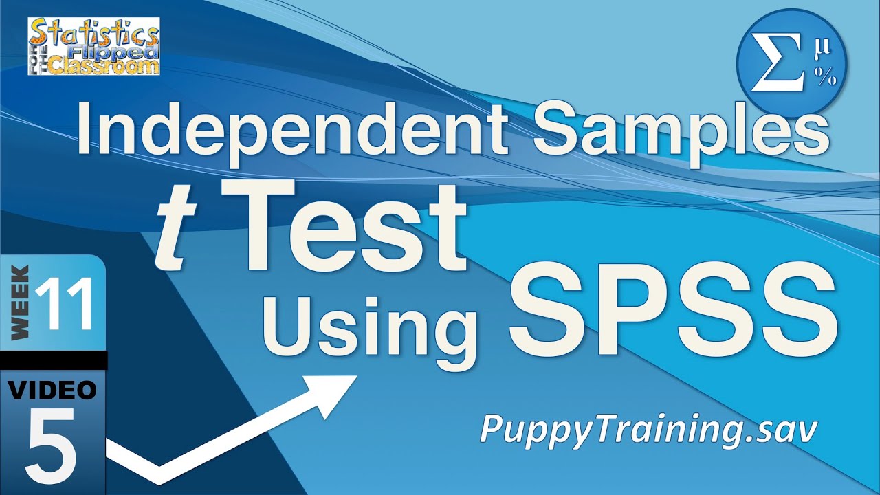 Tests t ru. Paired Sample. Independent Samples t-Test. Conduct an independent Samples t-Test using a 5% significance Level. Degrees of Freedom for t-Test independent Samples.
