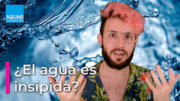 ¿Por qué el agua es tan insípida?