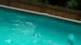 Tramp to pool