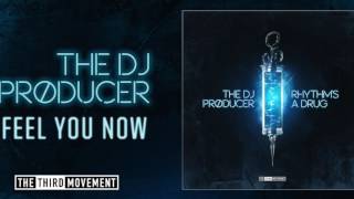 The DJ Producer - Feel You Now