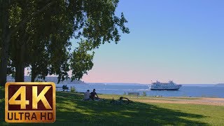 Wonderful Day in Myrtle Edwards Park in Seattle - 5 Hours City Relaxation 4K Video
