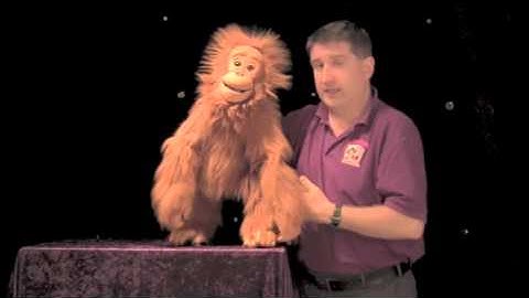 PUPPETRY FOR BEGINNERS Part 2: Staging
