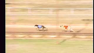 Race22