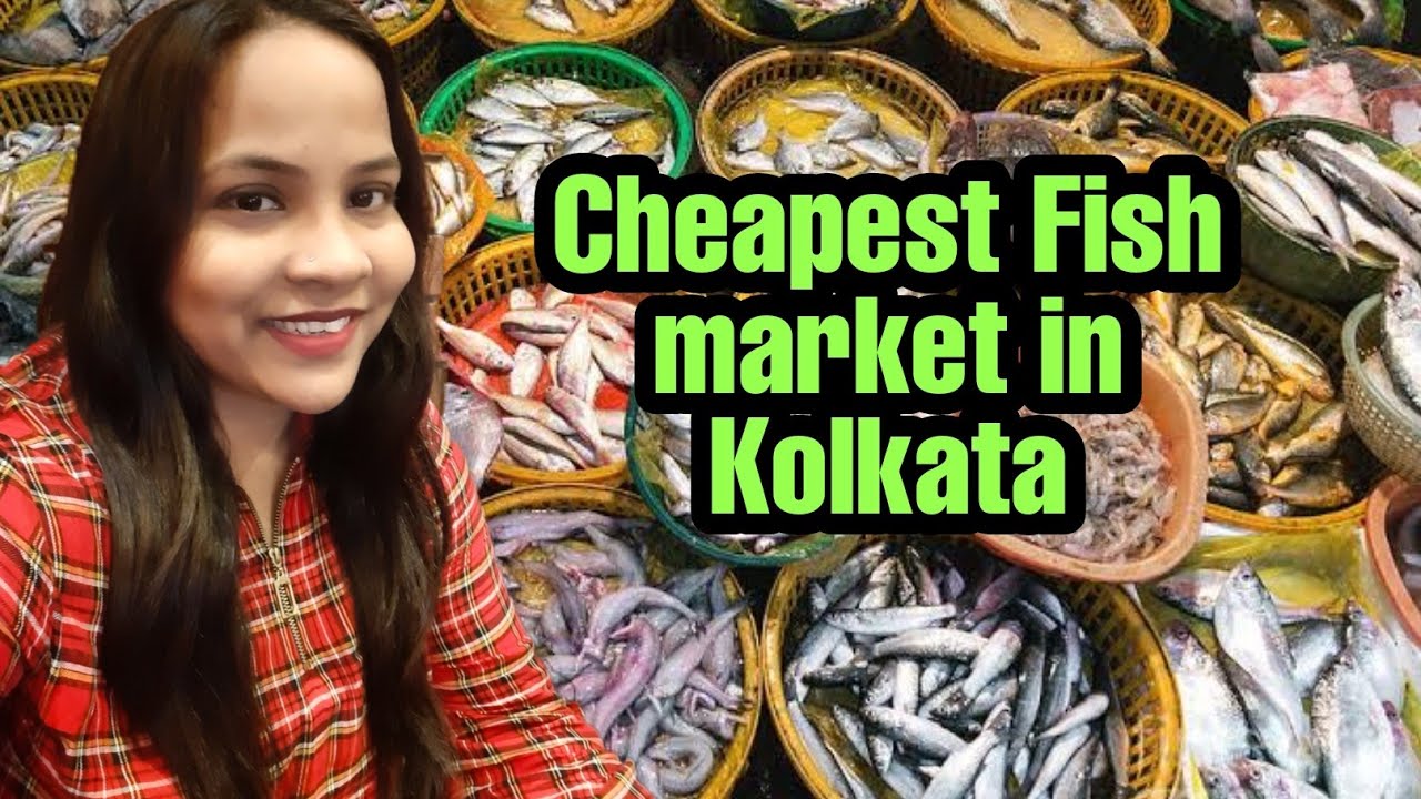 Cheapest Fish Market Kolkata YouTube