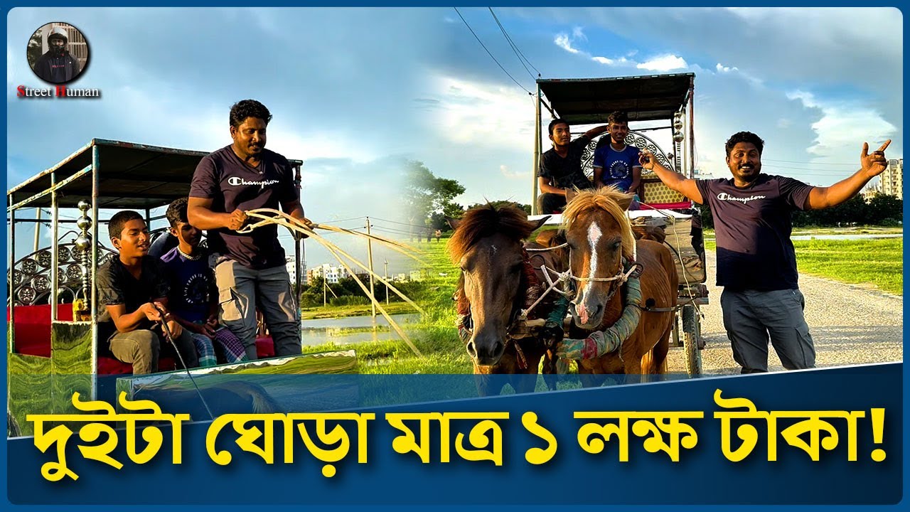 দুইটা ঘোড়া মাত্র ১ লক্ষ টাকা! 😲 | ঘোড়ার গাড়ি ভ্রমণ | Horse Cart Ride in Bangladesh