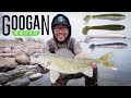 Solo Walleye Shore Fishing with Googan Baits! (CATCH CLEAN COOK)
