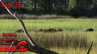 Salty Pig Tails | Georgia Public Land Hunting