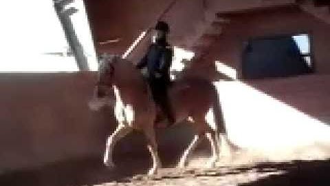 Part 2 of The Riding Lesson ~ Using the Leg ~ with JP Giacomini Part 2 of 5 Parts