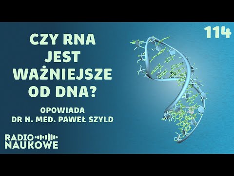 Wideo: Jaka jest praca RNA?