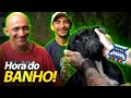 DAI E ZÉ DANDO BANHO NA BOCHECHA! | A CASA DOS BICHOS